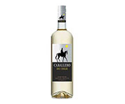 Caballero de Chille